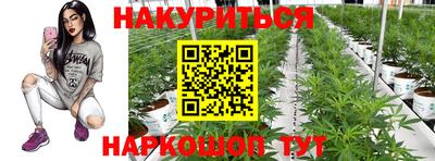 mix Будённовск